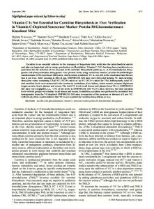 Vitamin C Is Not Essential for Carnitine Biosynthesis in Vivo ...