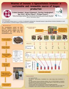 Wastes of banana 's lignocellulosic biomass: a