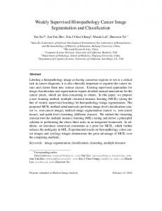 Weakly Supervised Histopathology Cancer ... - People.csail.mit.edu