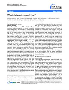 What determines cell size? - Core