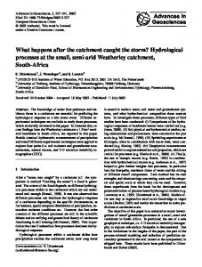 What happens after the catchment caught the storm ... - Adv-geosci