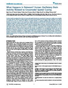 What Happens in Between? Human Oscillatory Brain ... - CiteSeerX