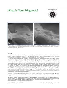 What Is Your Diagnosis? - AVMA Journals