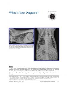 What Is Your Diagnosis?