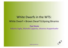 White Dwarfs in the WTS: