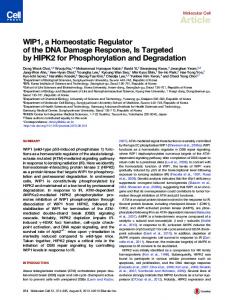 WIP1, a Homeostatic Regulator of the DNA Damage Response, Is ...