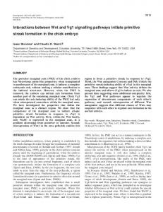 Wnt and Vg1 interactions in the chick - Development - The Company ...