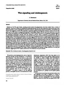 Wnt-signaling and skeletogenesis