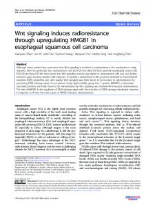 Wnt signaling induces radioresistance through upregulating ... - Nature