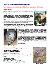 Wombats - Australian Wildlife Society