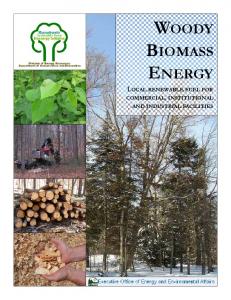 Wood Energy Brochure Final.pub - Mass.Gov