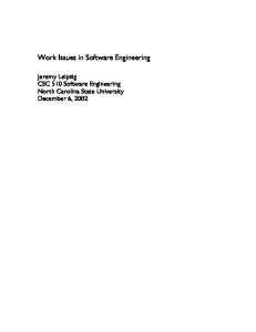 Work Issues in Software Engineering - arXiv