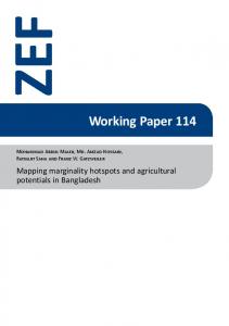 Working Paper 114 - ZEF