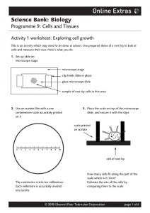 Worksheets - Channel 4 Learning