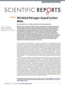 Wrinkled Nitrogen-doped Carbon Belts