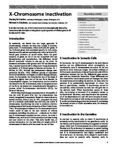 X-Chromosome Inactivation