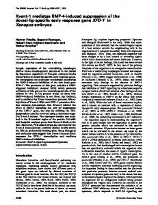 Xenopus embryos - NCBI