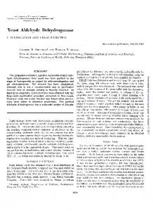 Yeast Aldehyde Dehydrogenase